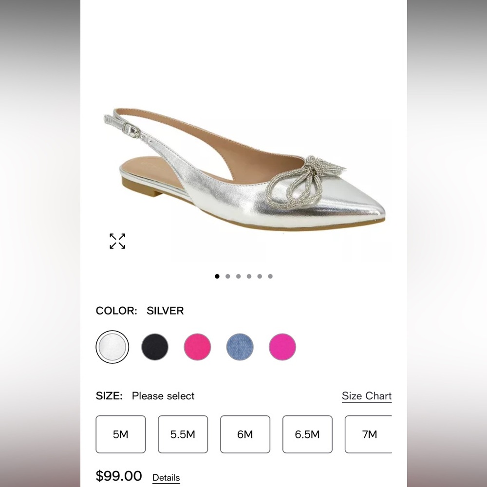 BCBG pointed flats